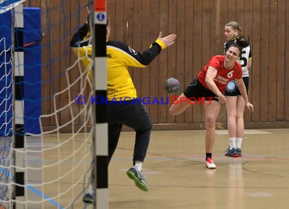 Heilbronn-Franken Handball Damen Bezirksliga TB Richen vs TSV Weinsberg (© Siegfried)