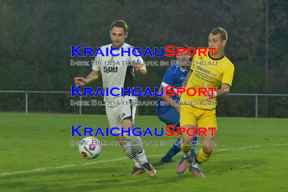 Saison-23/24-Kreisliga-Sinsheim-vs-SV-Reihen-vs-TSV-Waldangelloch (© Siegfried Lörz)