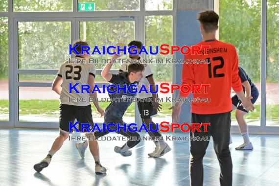 Bezirk-Rhein-Neckar-Tauber-Handball-TV-Sinsheim-vs-TSV-Steinsfurt (© Siegfried Lörz)