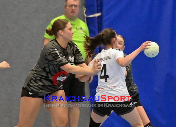 Handball-Frauen-Bezirksoberliga-Rhein-Neckar-Tauber-TV-Sinsheim-vs--SG-Schwarzbachtal (© Siegfried Lörz)