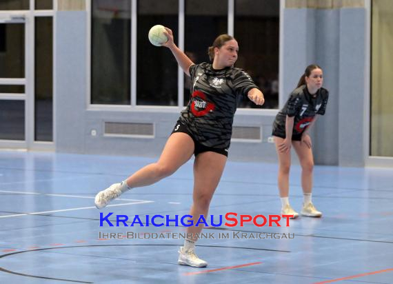 Handball-Frauen-Bezirksoberliga-Rhein-Neckar-Tauber-TV-Sinsheim-vs--SG-Schwarzbachtal (© Siegfried Lörz)