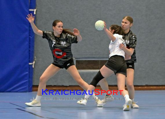 Handball-Frauen-Bezirksoberliga-Rhein-Neckar-Tauber-TV-Sinsheim-vs--SG-Schwarzbachtal (© Siegfried Lörz)
