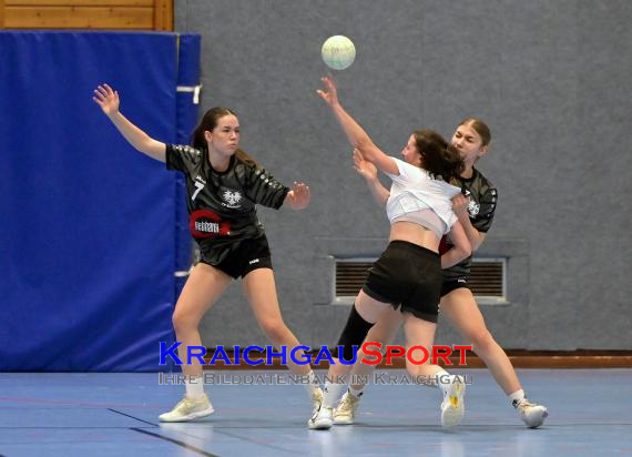 Handball-Frauen-Bezirksoberliga-Rhein-Neckar-Tauber-TV-Sinsheim-vs--SG-Schwarzbachtal (© Siegfried Lörz)