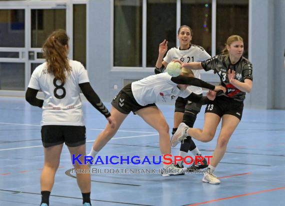 Handball-Frauen-Bezirksoberliga-Rhein-Neckar-Tauber-TV-Sinsheim-vs--SG-Schwarzbachtal (© Siegfried Lörz)