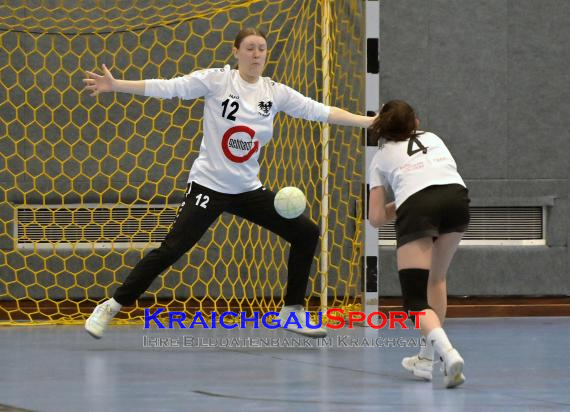 Handball-Frauen-Bezirksoberliga-Rhein-Neckar-Tauber-TV-Sinsheim-vs--SG-Schwarzbachtal (© Siegfried Lörz)