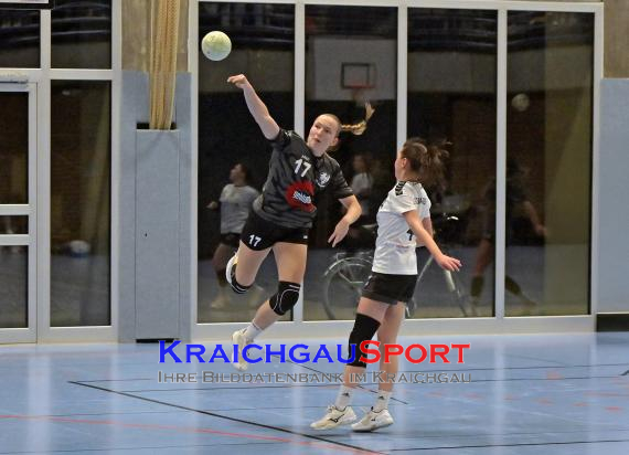 Handball-Frauen-Bezirksoberliga-Rhein-Neckar-Tauber-TV-Sinsheim-vs--SG-Schwarzbachtal (© Siegfried Lörz)