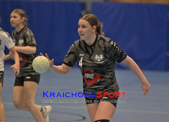 Handball-Frauen-Bezirksoberliga-Rhein-Neckar-Tauber-TV-Sinsheim-vs--SG-Schwarzbachtal (© Siegfried Lörz)