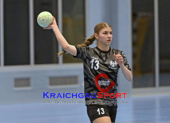 Handball-Frauen-Bezirksoberliga-Rhein-Neckar-Tauber-TV-Sinsheim-vs--SG-Schwarzbachtal (© Siegfried Lörz)