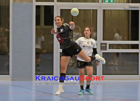 Handball-Frauen-Bezirksoberliga-Rhein-Neckar-Tauber-TV-Sinsheim-vs--SG-Schwarzbachtal (© Siegfried Lörz)