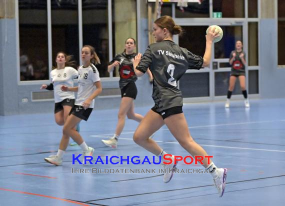 Handball-Frauen-Bezirksoberliga-Rhein-Neckar-Tauber-TV-Sinsheim-vs--SG-Schwarzbachtal (© Siegfried Lörz)