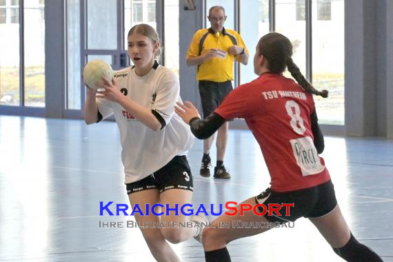 Baden-Oberliga-weibliche-Jugend-A-TV-Sinsheim-vs-TSV-Rintheim (© Siegfried Lörz)