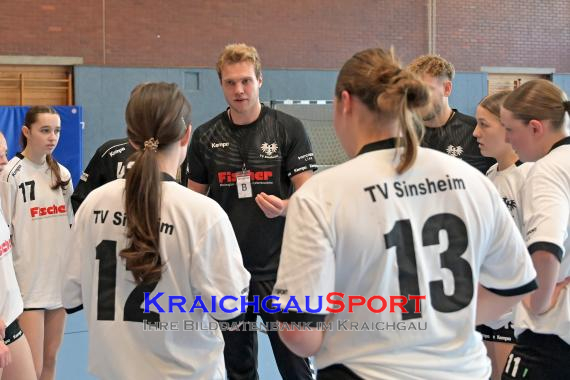 Baden-Oberliga-weibliche-Jugend-A-TV-Sinsheim-vs-TSV-Rintheim (© Siegfried Lörz)