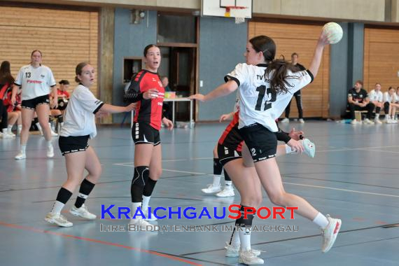 Baden-Oberliga-weibliche-Jugend-A-TV-Sinsheim-vs-TSV-Rintheim (© Siegfried Lörz)
