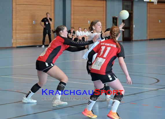 Baden-Oberliga-weibliche-Jugend-A-TV-Sinsheim-vs-TSV-Rintheim (© Siegfried Lörz)