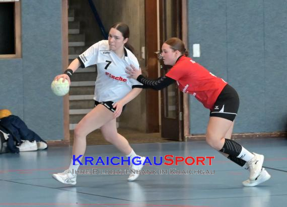 Baden-Oberliga-weibliche-Jugend-A-TV-Sinsheim-vs-TSV-Rintheim (© Siegfried Lörz)