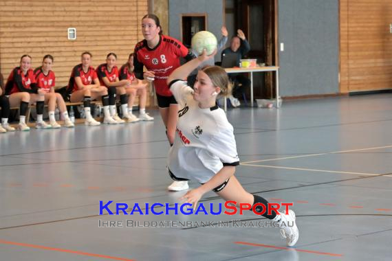Baden-Oberliga-weibliche-Jugend-A-TV-Sinsheim-vs-TSV-Rintheim (© Siegfried Lörz)