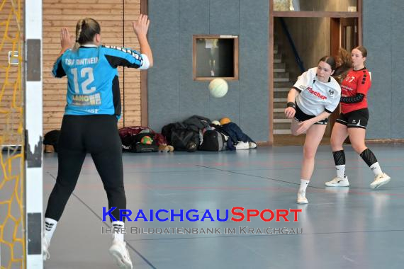 Baden-Oberliga-weibliche-Jugend-A-TV-Sinsheim-vs-TSV-Rintheim (© Siegfried Lörz)