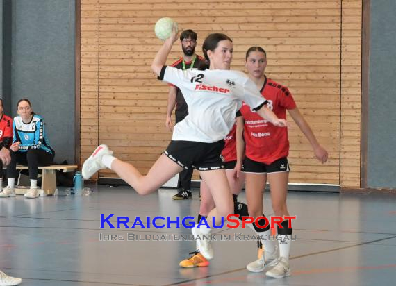 Baden-Oberliga-weibliche-Jugend-A-TV-Sinsheim-vs-TSV-Rintheim (© Siegfried Lörz)