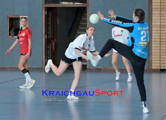 Baden-Oberliga-weibliche-Jugend-A-TV-Sinsheim-vs-TSV-Rintheim (© Siegfried Lörz)