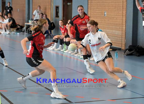 Baden-Oberliga-weibliche-Jugend-A-TV-Sinsheim-vs-TSV-Rintheim (© Siegfried Lörz)