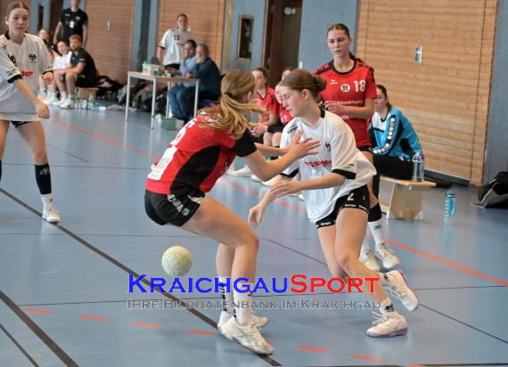 Baden-Oberliga-weibliche-Jugend-A-TV-Sinsheim-vs-TSV-Rintheim (© Siegfried Lörz)