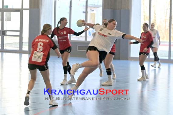 Baden-Oberliga-weibliche-Jugend-A-TV-Sinsheim-vs-TSV-Rintheim (© Siegfried Lörz)