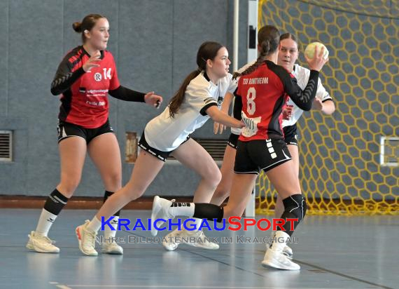 Baden-Oberliga-weibliche-Jugend-A-TV-Sinsheim-vs-TSV-Rintheim (© Siegfried Lörz)