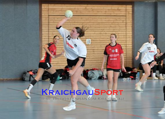 Baden-Oberliga-weibliche-Jugend-A-TV-Sinsheim-vs-TSV-Rintheim (© Siegfried Lörz)