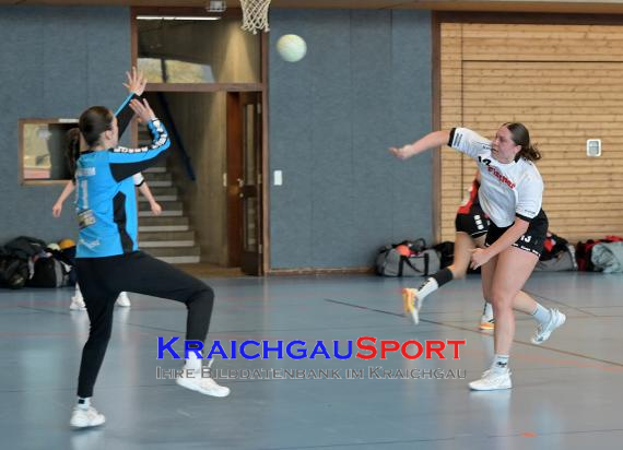 Baden-Oberliga-weibliche-Jugend-A-TV-Sinsheim-vs-TSV-Rintheim (© Siegfried Lörz)