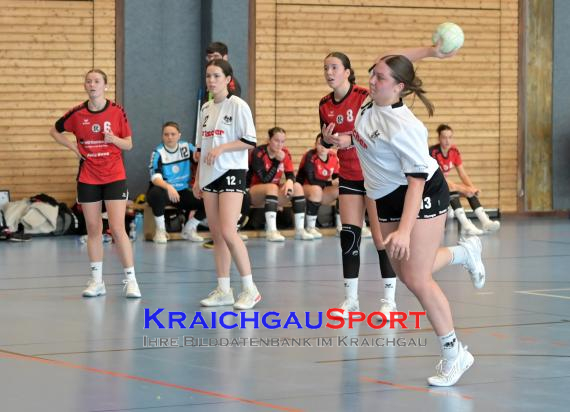 Baden-Oberliga-weibliche-Jugend-A-TV-Sinsheim-vs-TSV-Rintheim (© Siegfried Lörz)