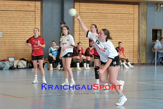 Baden-Oberliga-weibliche-Jugend-A-TV-Sinsheim-vs-TSV-Rintheim (© Siegfried Lörz)