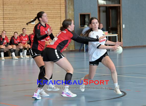Baden-Oberliga-weibliche-Jugend-A-TV-Sinsheim-vs-TSV-Rintheim (© Siegfried Lörz)