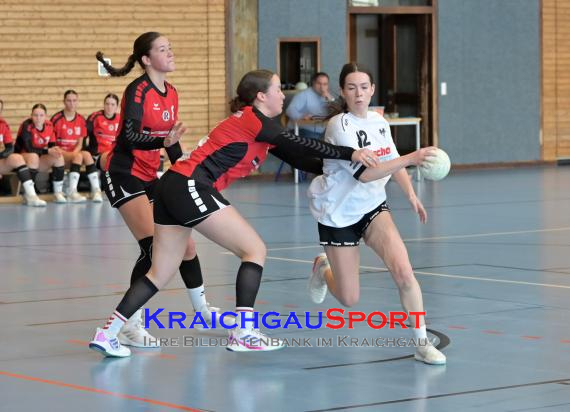 Baden-Oberliga-weibliche-Jugend-A-TV-Sinsheim-vs-TSV-Rintheim (© Siegfried Lörz)