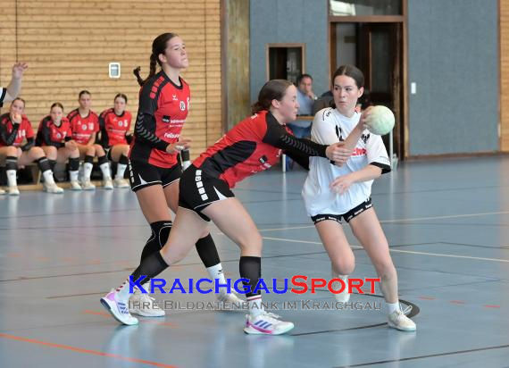 Baden-Oberliga-weibliche-Jugend-A-TV-Sinsheim-vs-TSV-Rintheim (© Siegfried Lörz)