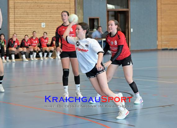 Baden-Oberliga-weibliche-Jugend-A-TV-Sinsheim-vs-TSV-Rintheim (© Siegfried Lörz)