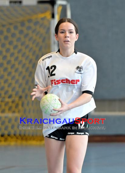 Baden-Oberliga-weibliche-Jugend-A-TV-Sinsheim-vs-TSV-Rintheim (© Siegfried Lörz)
