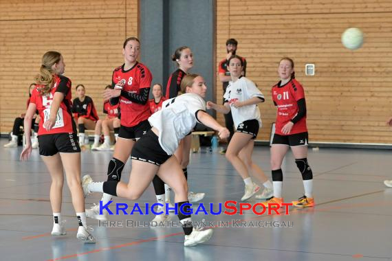 Baden-Oberliga-weibliche-Jugend-A-TV-Sinsheim-vs-TSV-Rintheim (© Siegfried Lörz)