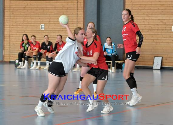 Baden-Oberliga-weibliche-Jugend-A-TV-Sinsheim-vs-TSV-Rintheim (© Siegfried Lörz)