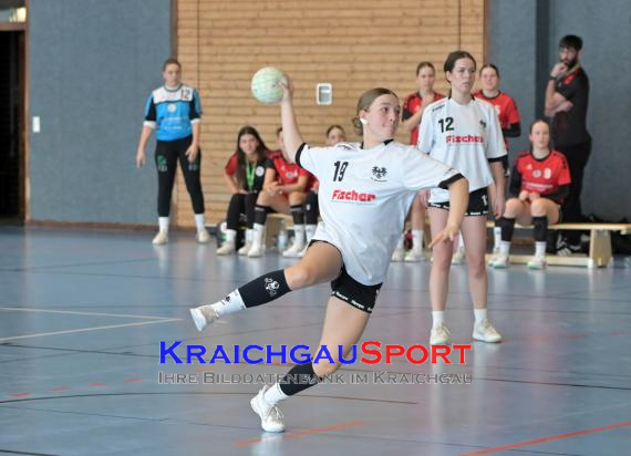 Baden-Oberliga-weibliche-Jugend-A-TV-Sinsheim-vs-TSV-Rintheim (© Siegfried Lörz)
