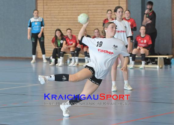 Baden-Oberliga-weibliche-Jugend-A-TV-Sinsheim-vs-TSV-Rintheim (© Siegfried Lörz)