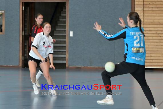 Baden-Oberliga-weibliche-Jugend-A-TV-Sinsheim-vs-TSV-Rintheim (© Siegfried Lörz)