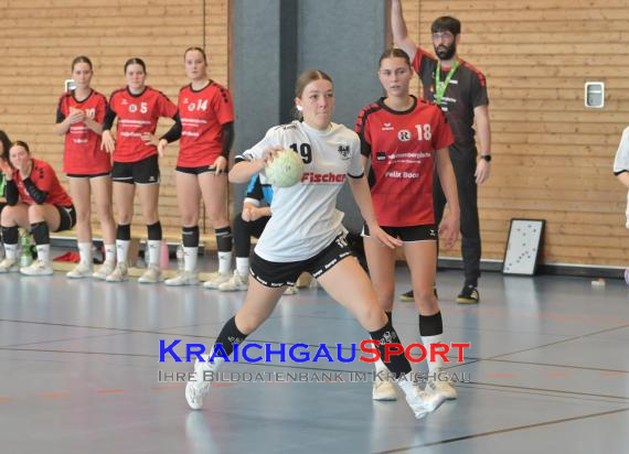 Baden-Oberliga-weibliche-Jugend-A-TV-Sinsheim-vs-TSV-Rintheim (© Siegfried Lörz)