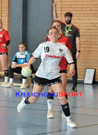 Baden-Oberliga-weibliche-Jugend-A-TV-Sinsheim-vs-TSV-Rintheim (© Siegfried Lörz)