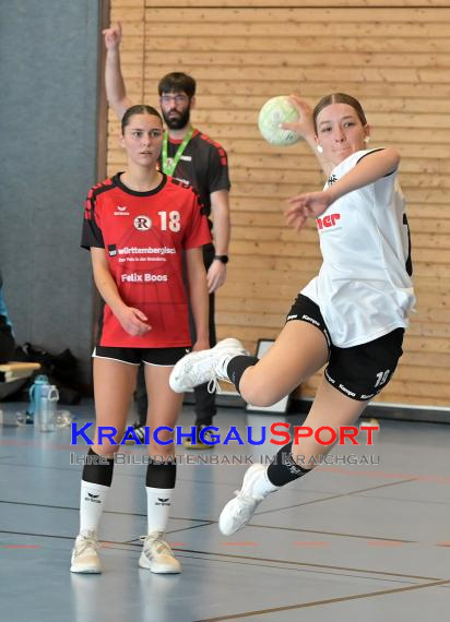Baden-Oberliga-weibliche-Jugend-A-TV-Sinsheim-vs-TSV-Rintheim (© Siegfried Lörz)
