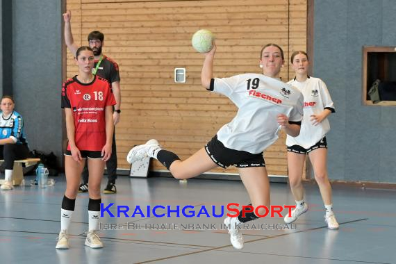 Baden-Oberliga-weibliche-Jugend-A-TV-Sinsheim-vs-TSV-Rintheim (© Siegfried Lörz)