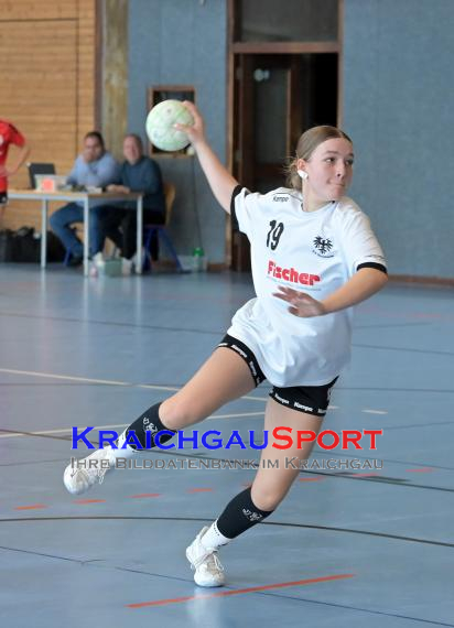 Baden-Oberliga-weibliche-Jugend-A-TV-Sinsheim-vs-TSV-Rintheim (© Siegfried Lörz)