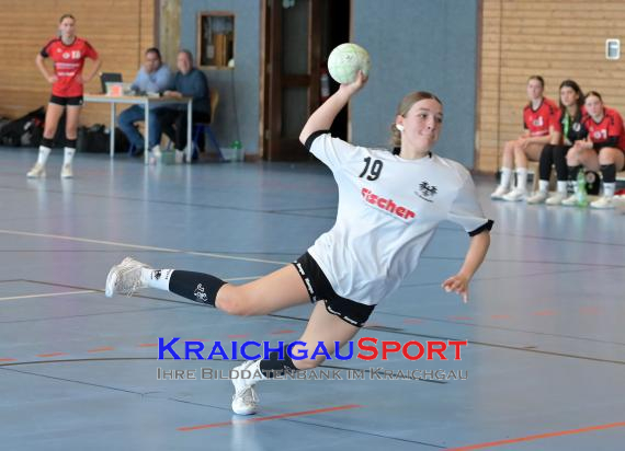 Baden-Oberliga-weibliche-Jugend-A-TV-Sinsheim-vs-TSV-Rintheim (© Siegfried Lörz)