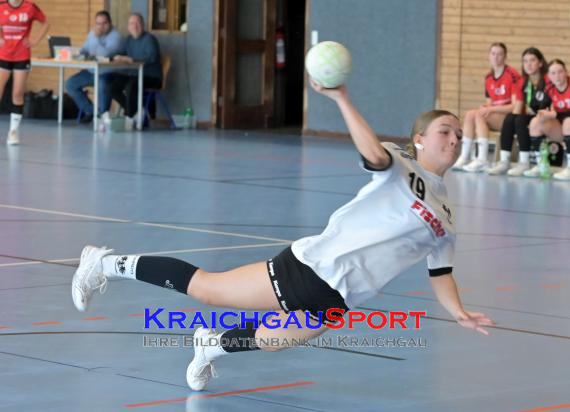 Baden-Oberliga-weibliche-Jugend-A-TV-Sinsheim-vs-TSV-Rintheim (© Siegfried Lörz)