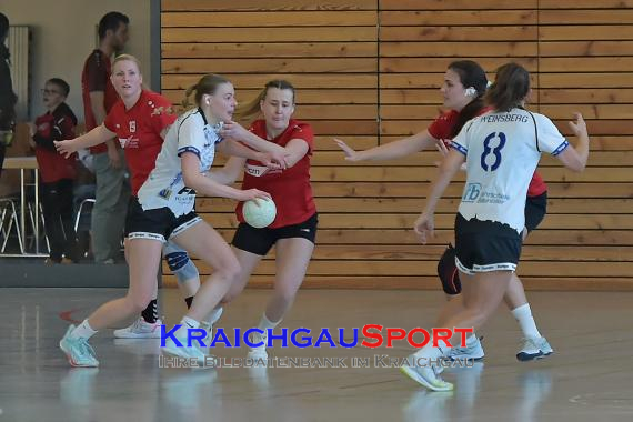 Frauen-Bezirksoberliga-TB-Richen-vs-TSV-1866-Weinsberg (© Siegfried Lörz)