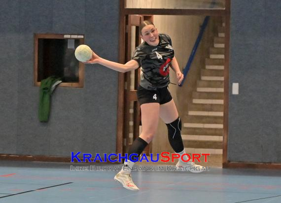 Frauen-Bezirksoberliga-TV-Sinsheim-vs-TSV-Phönix-Steinsfurt (© Siegfried Lörz)